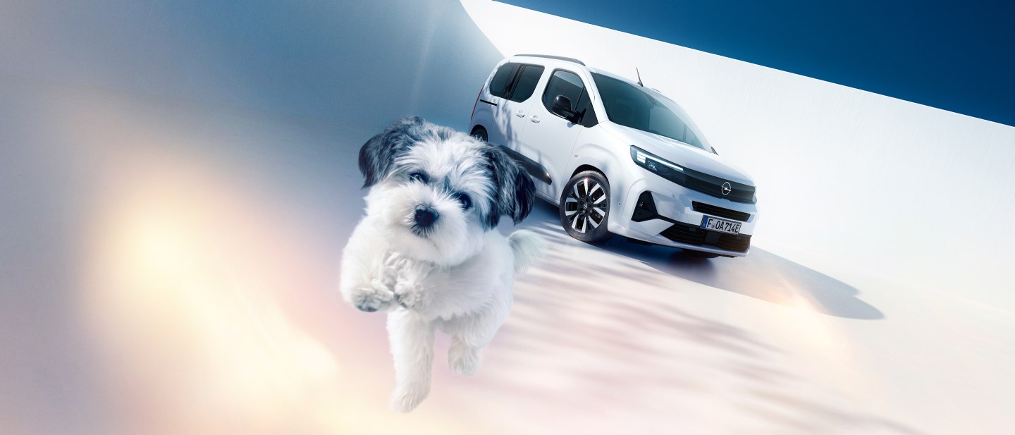 Opel Combo Electric